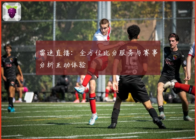 雷速直播：全方位比分服务与赛事分析互动体验