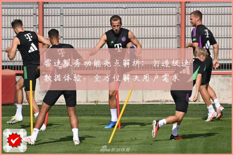 雷速服务功能亮点解析：打造极速数据体验，全方位解决用户需求