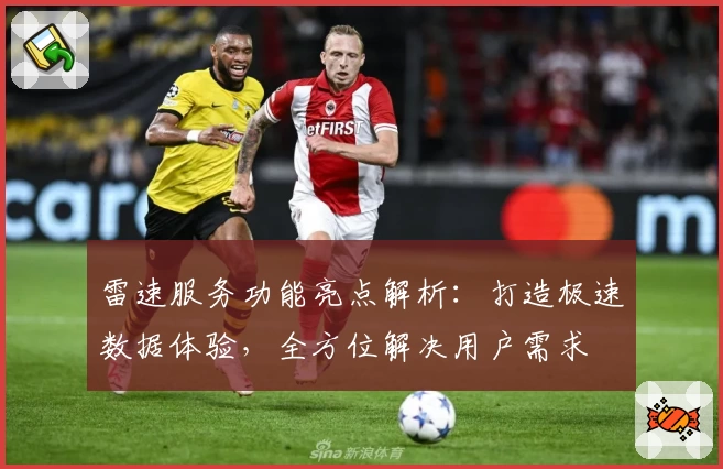 雷速服务功能亮点解析：打造极速数据体验，全方位解决用户需求