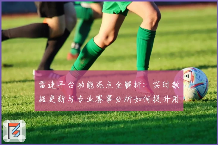 雷速平台功能亮点全解析：实时数据更新与专业赛事分析如何提升用户体验