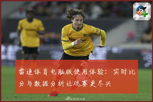 雷速体育电脑版使用体验:实时比分与数据分析让观赛更尽兴